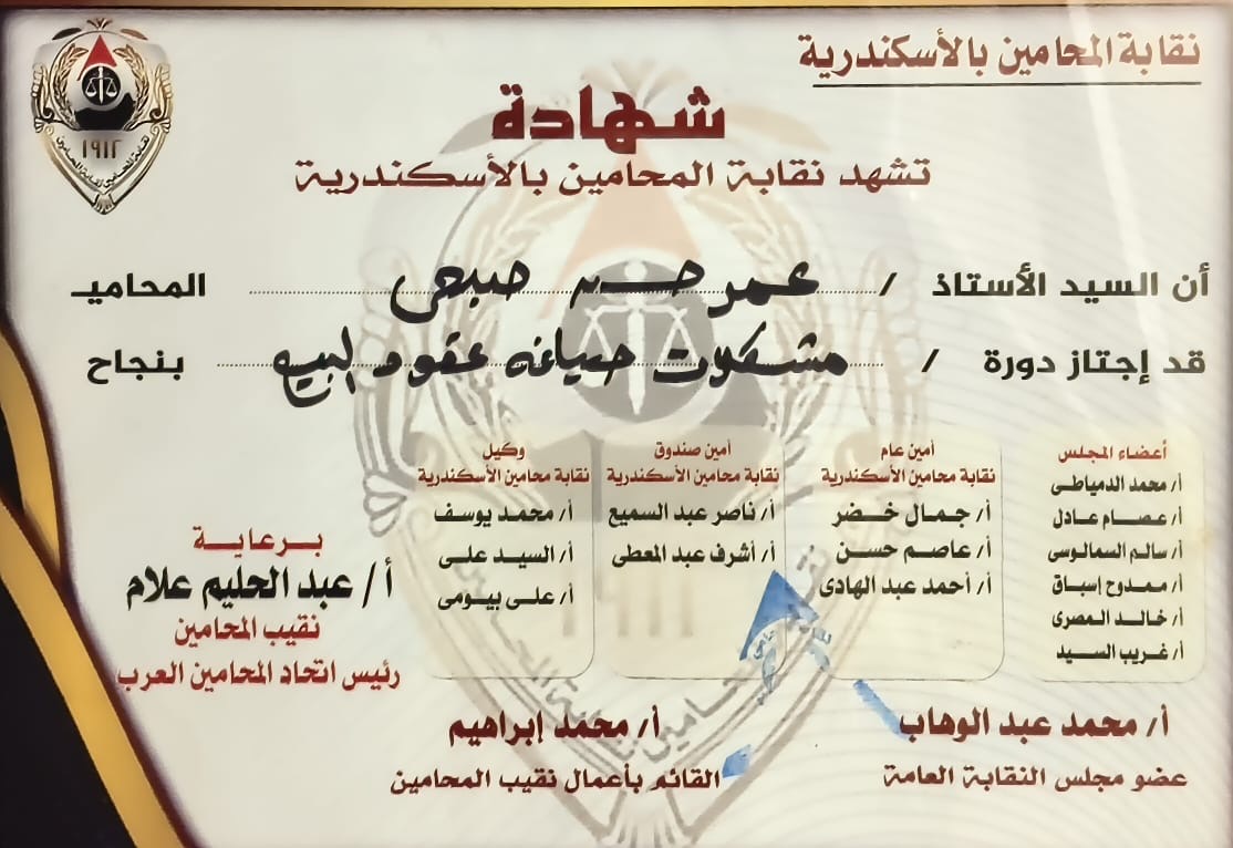شهادة نقابة المحامين بالإسكندرية